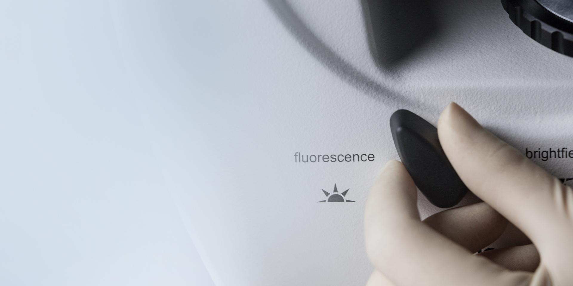 Commutation du contraste de phase vers la fluorescence sur le ZEISS Primovert iLED
