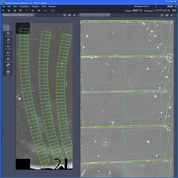 Serial sections (green frame) after the automatic section detection 