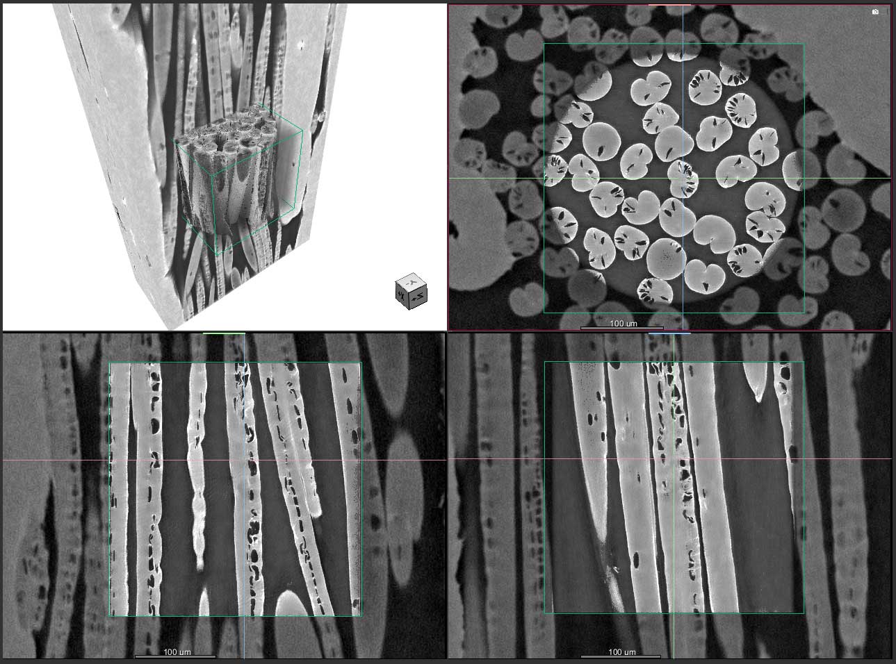 Viskosefasern. Probe mit freundlicher Genehmigung von Dr. Sherry Mayo und Dr. David Fox, CSIRO, Australien.