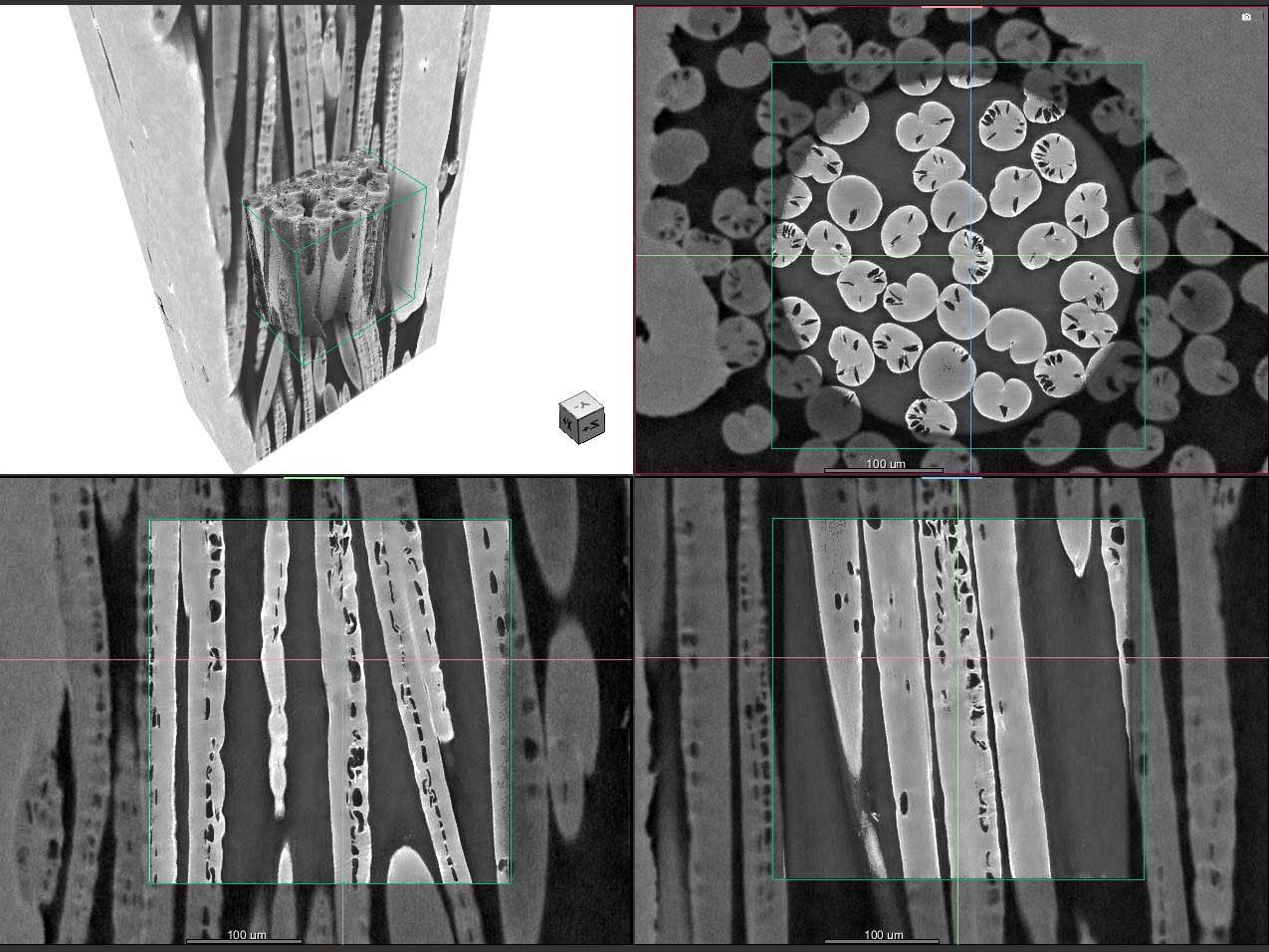 Viskosefasern. Probe mit freundlicher Genehmigung von Dr. Sherry Mayo und Dr. David Fox, CSIRO, Australien.