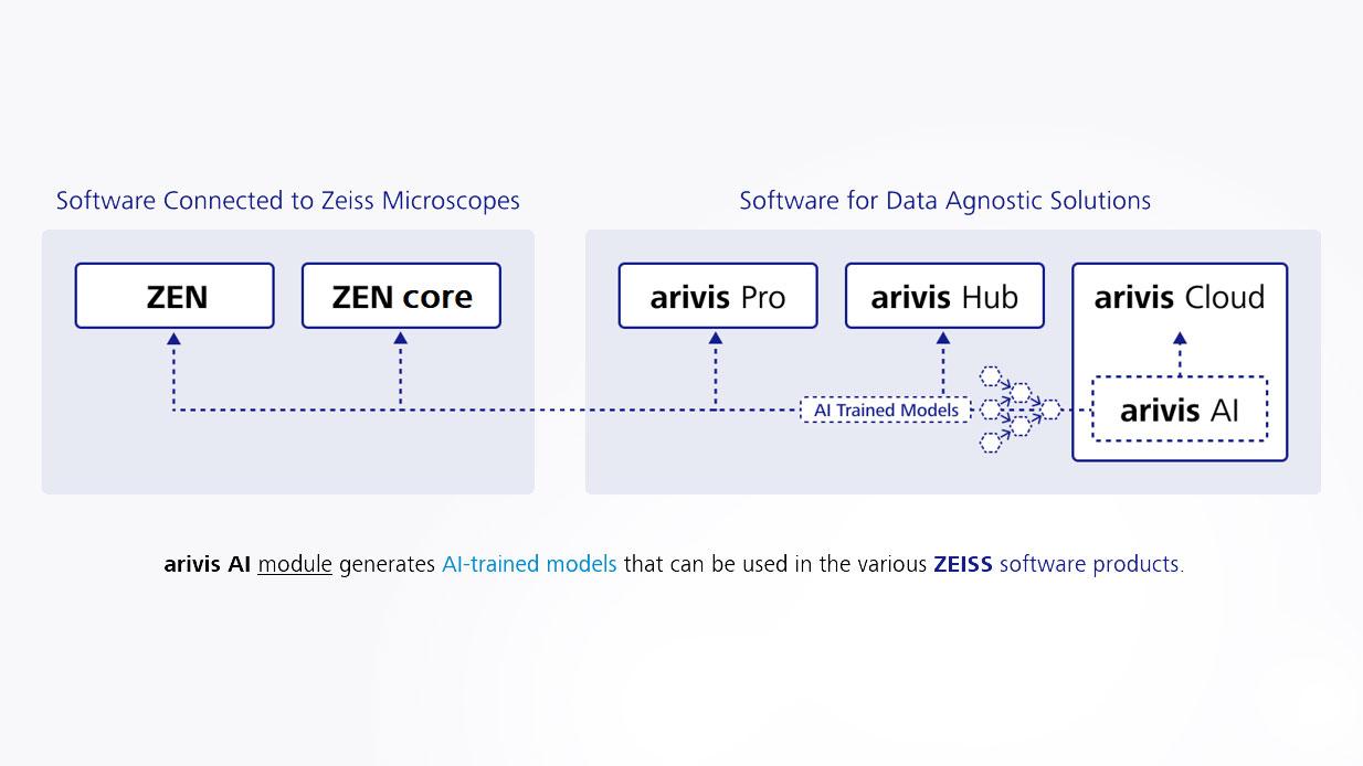 arivis AI module generates AI-trained models that can be used in the various ZEISS software products