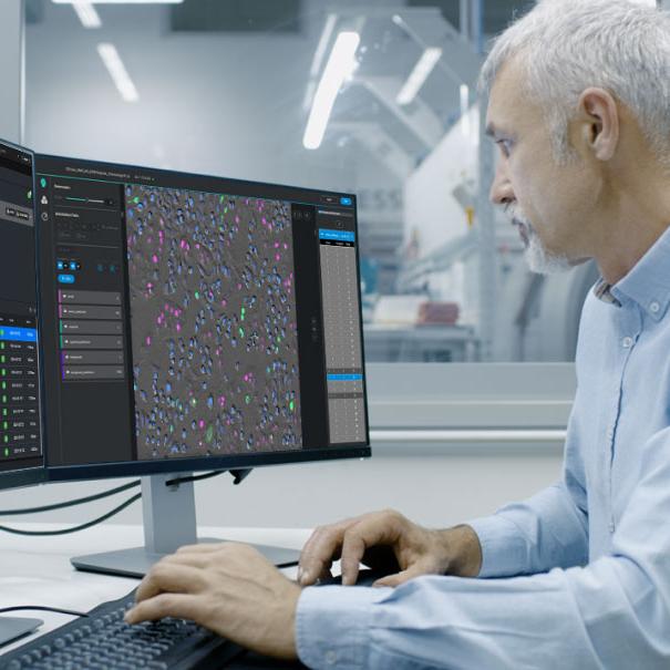 A man who works in a microscopy lab is looking at two desktop monitors. On his left he sees the screen of the ZEISS arivis Hub software with analysis results of well plate - phenotypic screening, including segmentation results. On his right he sees the screen of the ZEISS arivis Cloud with AI-generated predictions on the microscopy image in one of the wells.
