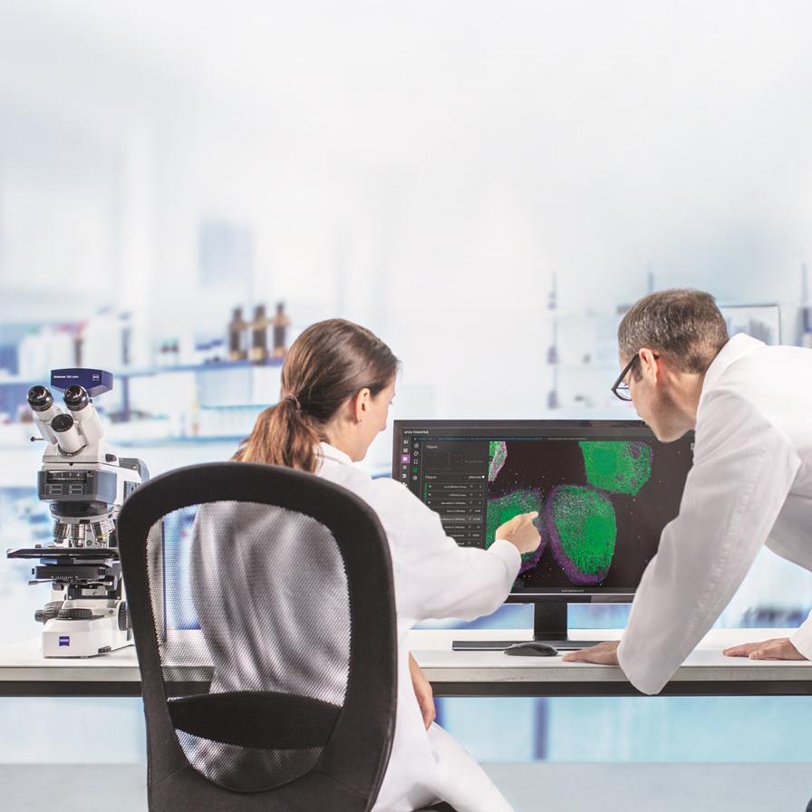 A man who works in a microscopy lab is looking at two desktop monitors. On his left he sees the screen of the ZEISS arivis Hub software with analysis results of well plate - phenotypic screening, including segmentation results. On his right he sees the screen of the ZEISS arivis Cloud with AI-generated predictions on the microscopy image in one of the wells.