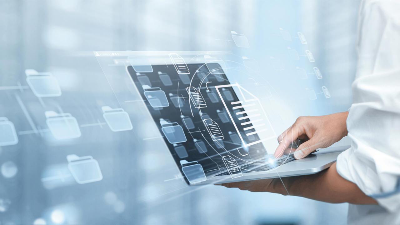 ZEISS arivis Pro Software