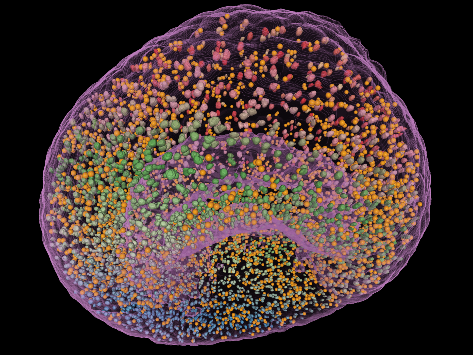 arivis Vision4D – Die leistungsstarke Software für wissenschaftliches Imaging