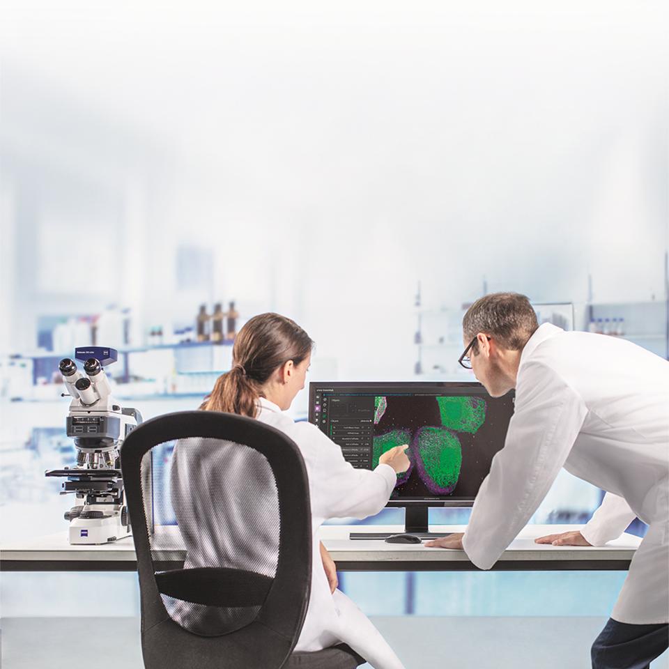 Two scientists who work in a microscopy lab are dicussing scaled up analysis of cells in images acquired with fluorescence microscopy. They are looking at the screen, which has the ZEISS arivis Hub software inteface open.