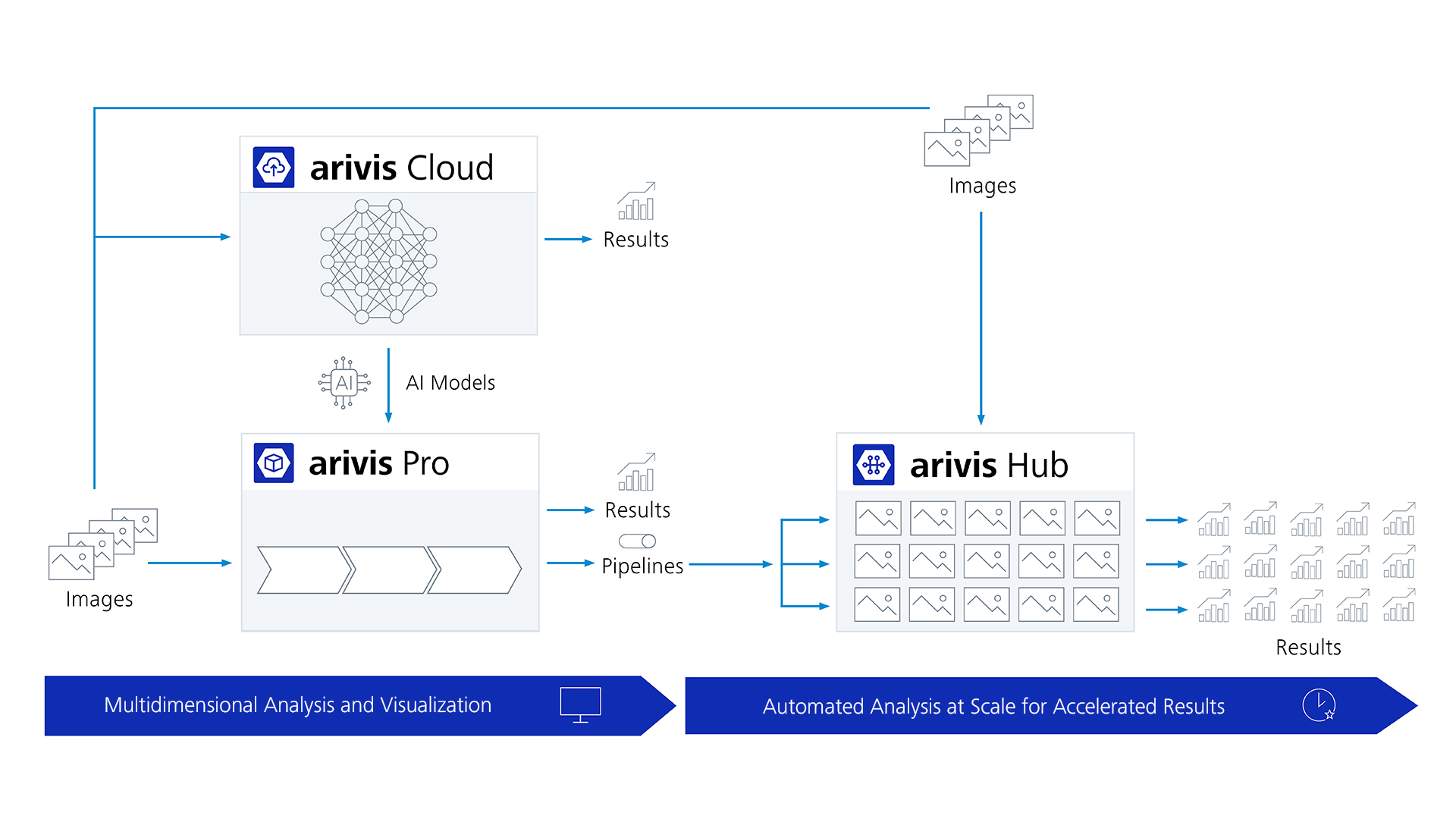 ZEISS arivis advanced image analysis