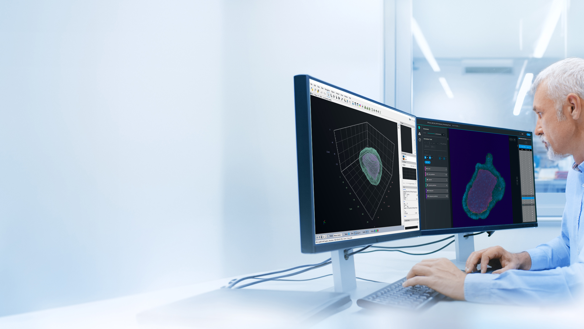 A man who works in a microscopy lab is looking at two desktop monitors. On his left the ZEISS arivis Pro software is open showing 3D analysis results of organoid and lumen volume quantification. On his right screen he sees the ZEISS arivis Cloud software with the deep learning training interface showing organoid and lumen predictions on one slice of the organoid z-stack.