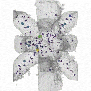 Visualization of an additive manufactured Inconel lattice with porosity color coded by volume.