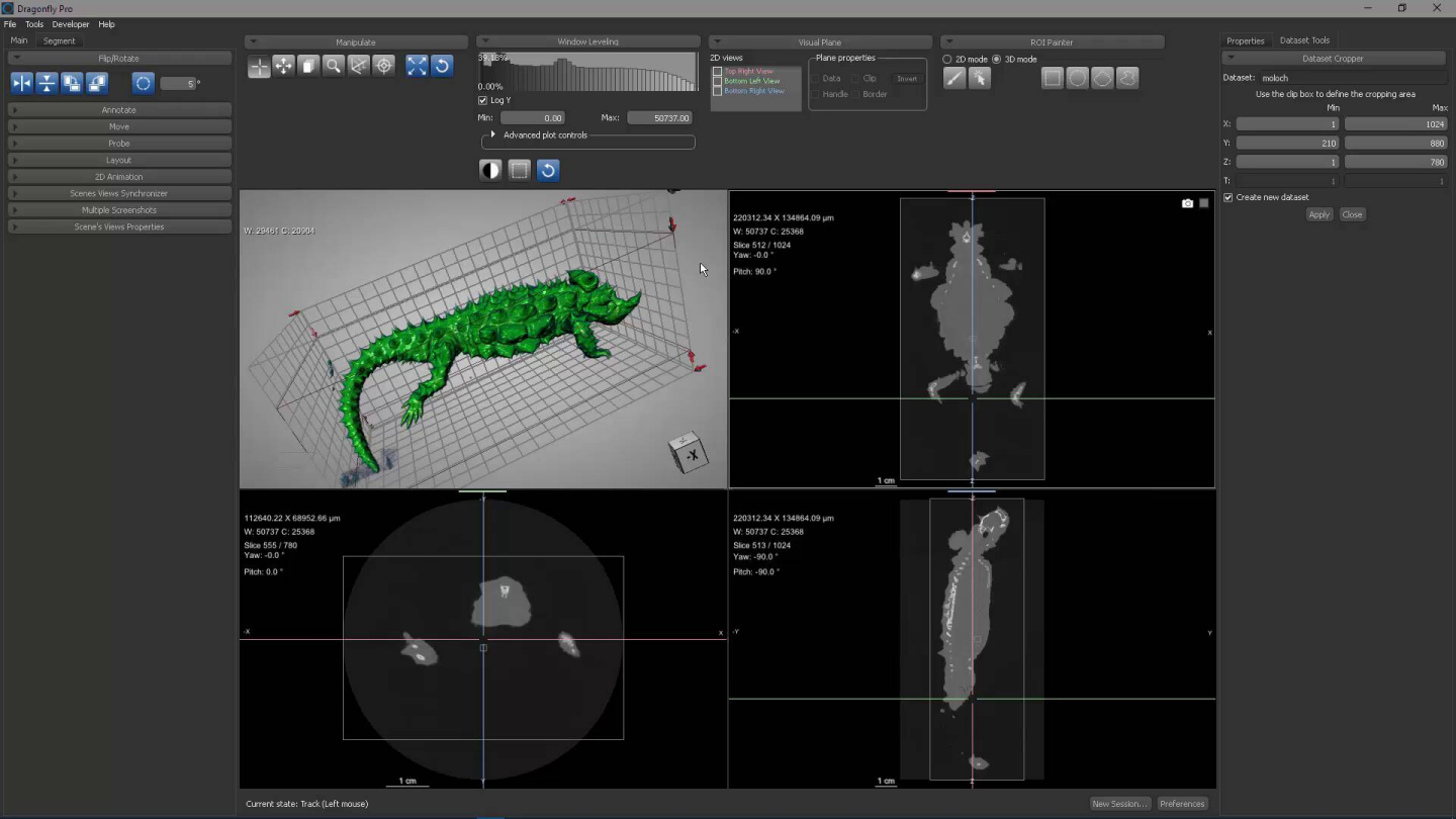 Dragonfly 3D World ZEISS edition