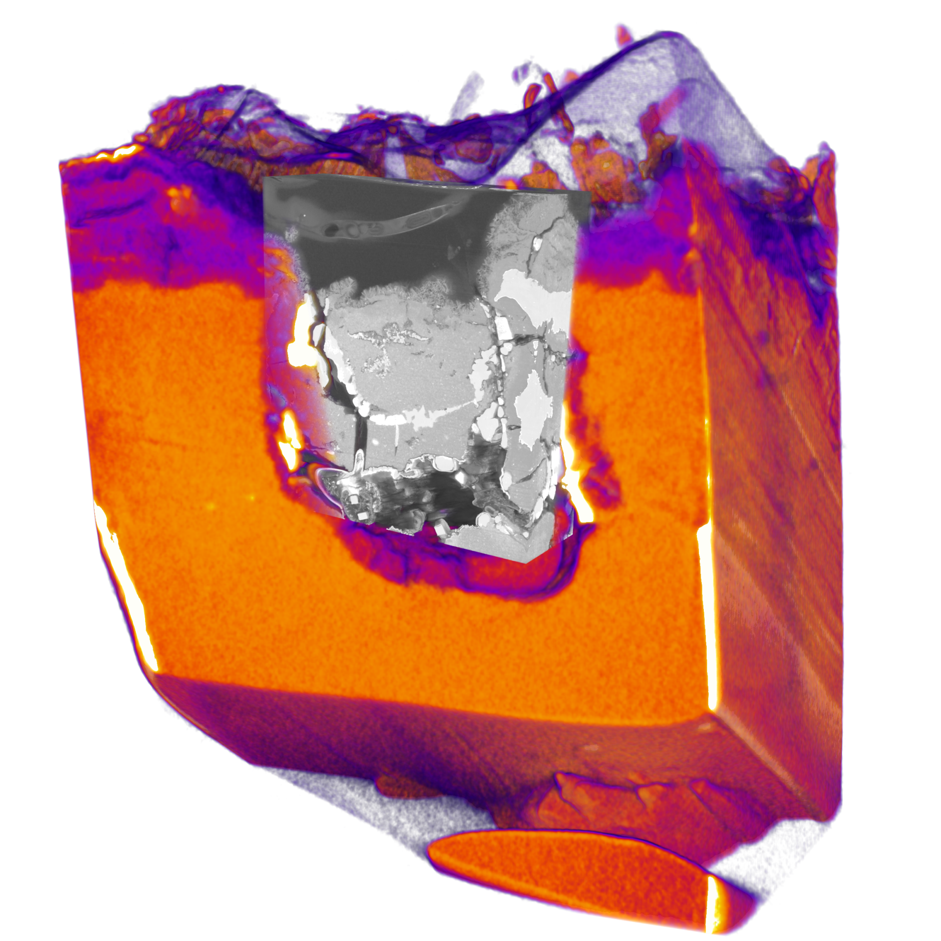 Multi-scale visualization of corrosion damage of a magnesium alloy