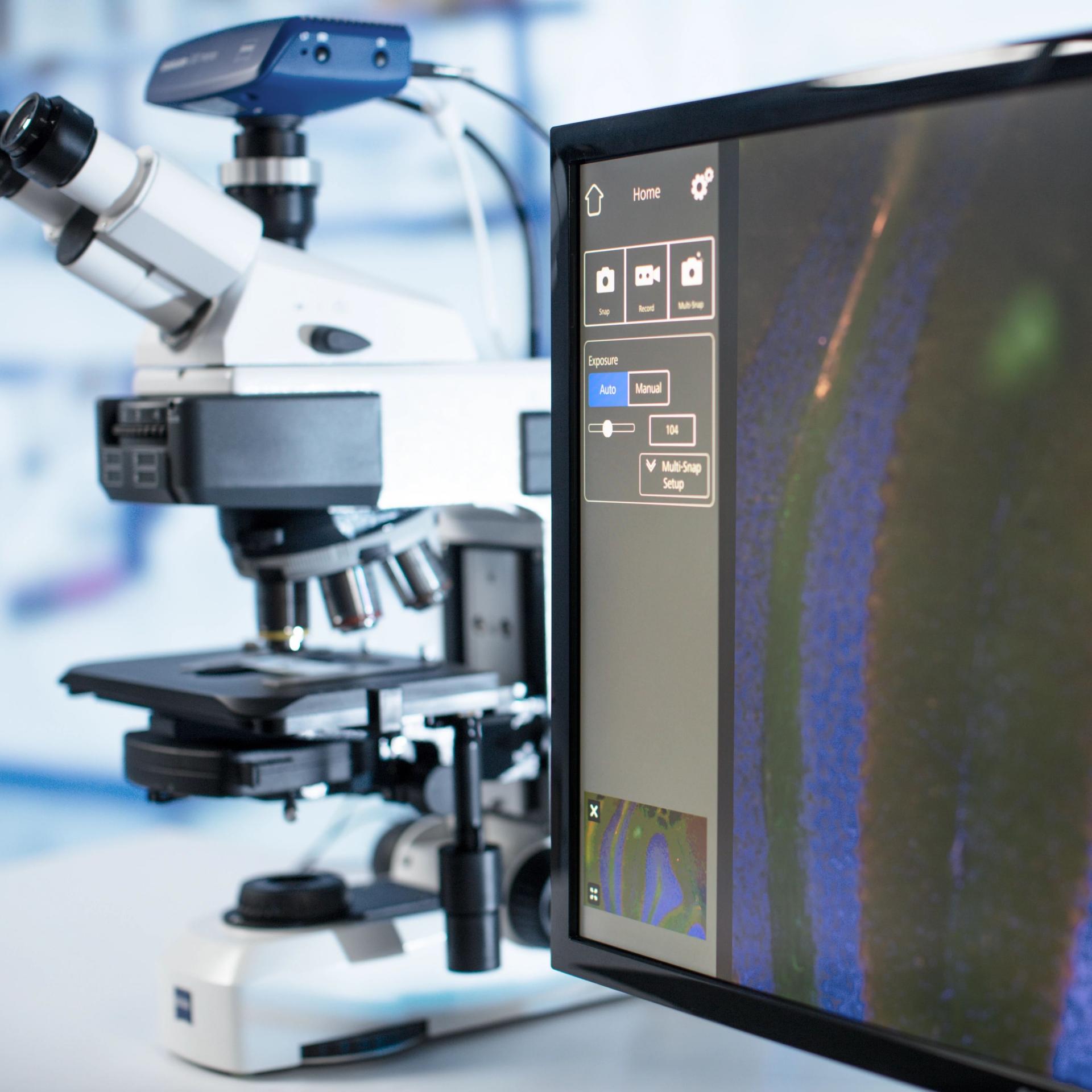 ZEISS Software - for Light Microscopy