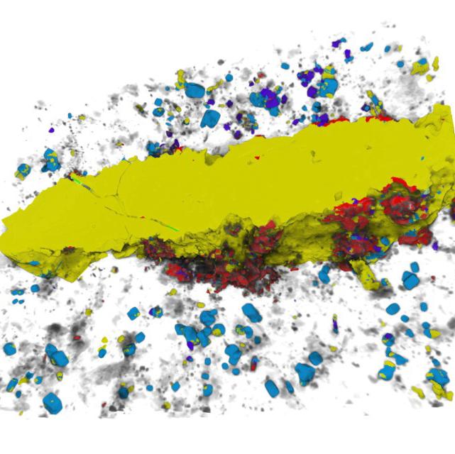 ZEISS XRM with Phase Identifier 3D provides quantified mineralogy and reveals textural relationships in this pyrite - molybdenite vein in granite.
