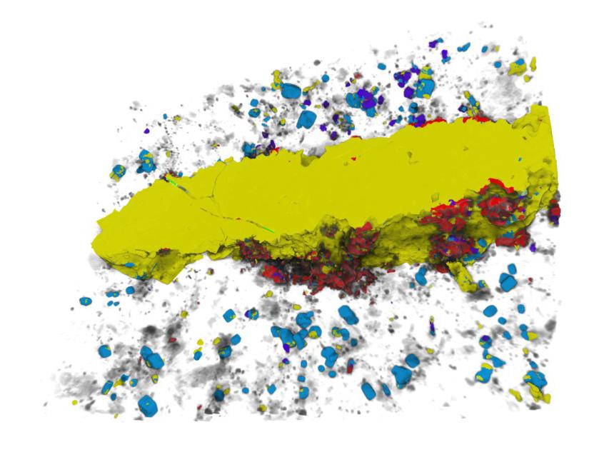 ZEISS XRM with Phase Identifier 3D provides quantified mineralogy and reveals textural relationships in this pyrite - molybdenite vein in granite.