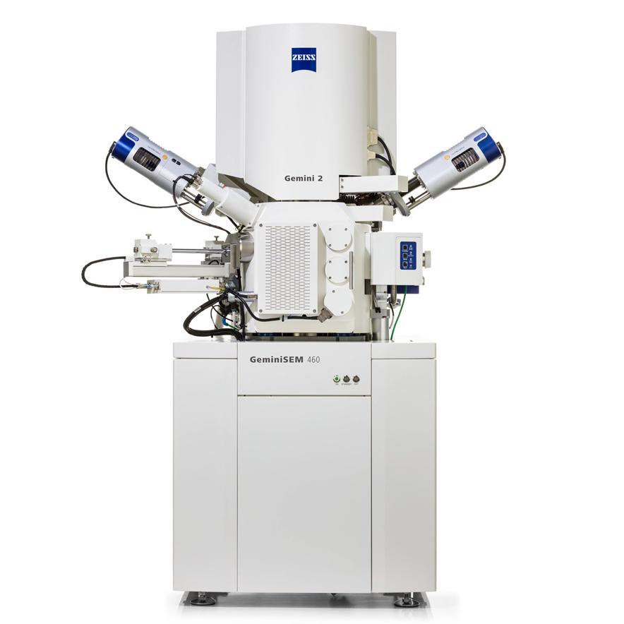 ZEISS GeminiSEM FE-SEM