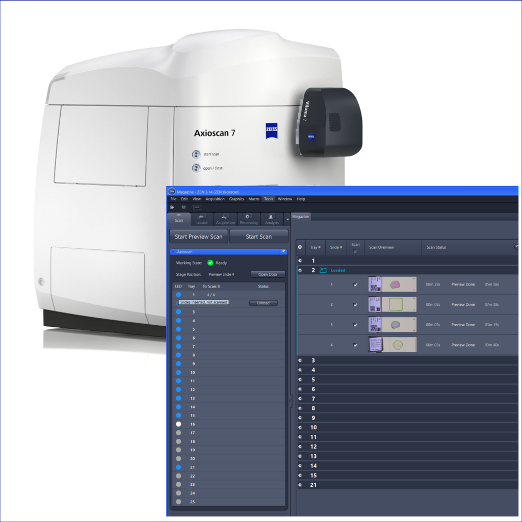 ZEISS ZEN Microscopy Software