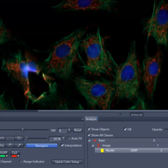 Go to Tutorial Introduction Image Analysis: Basic Workflow