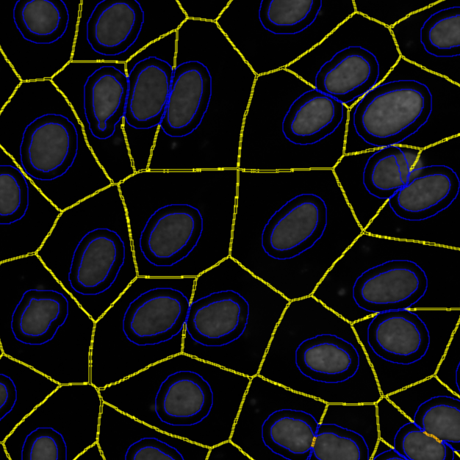 Screenshot Zones Of Influence (ZOI)
