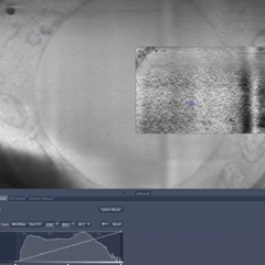 Go to Tutorial Image Processing: Enhance Local Contrast (3D Viewer)