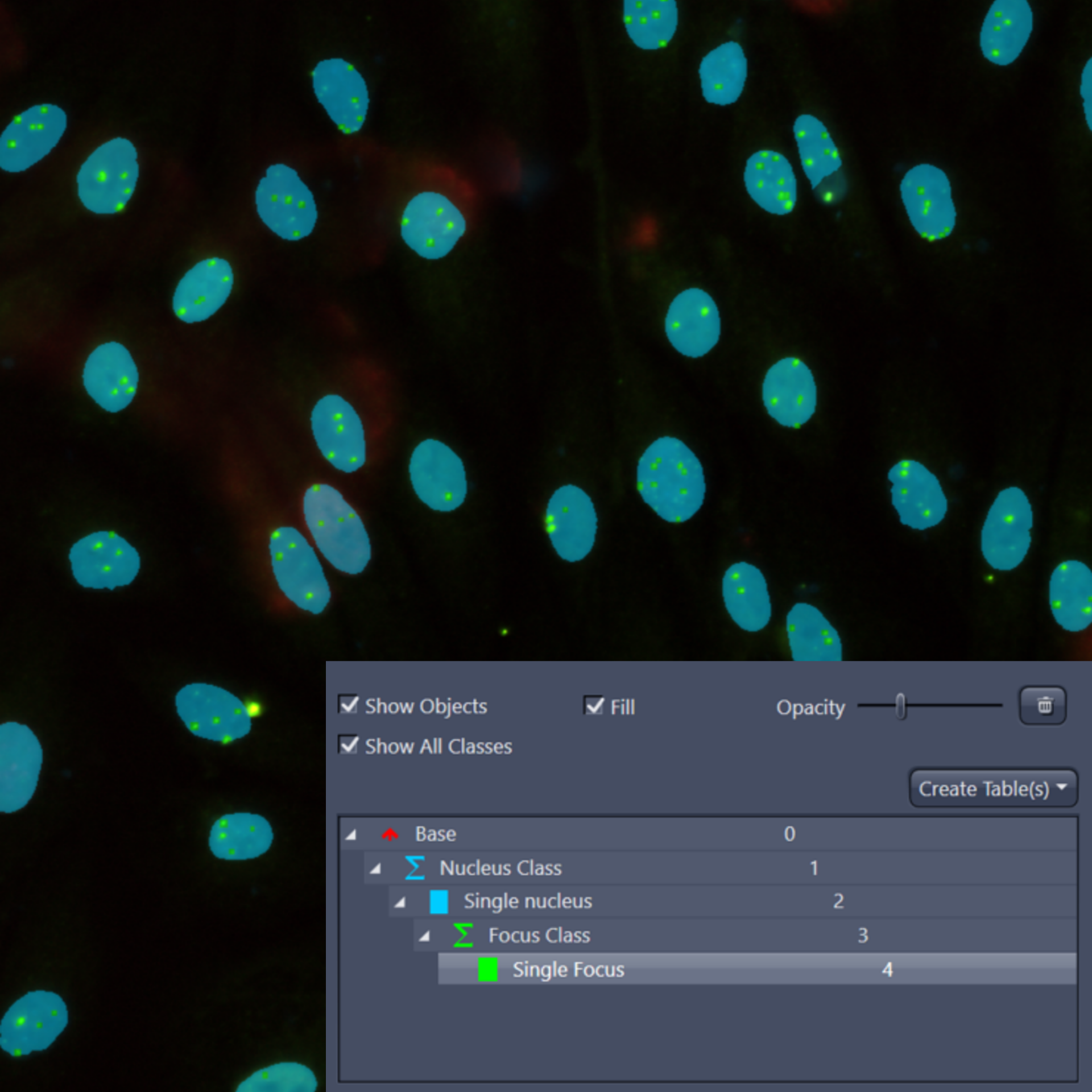 Image analysis wizard