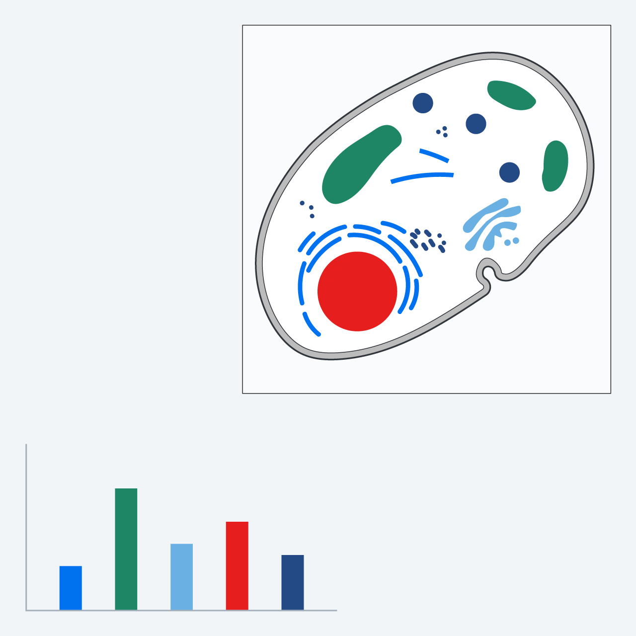 二维工具包套装图示