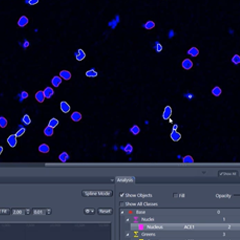 Go to Tutorial Image Analysis: Wizard in More Detail