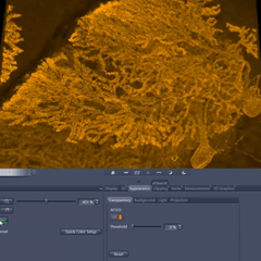 Go to Tutorial Image Analysis: Employing Intellesis Machine Learning