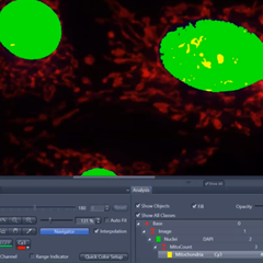 Go to Tutorial Image Analysis: Nested Class Definition