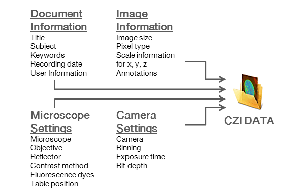 顕微鏡・画像データ