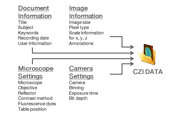 Données du microscope et des images