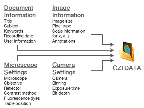 Información del microscopio y la imagen