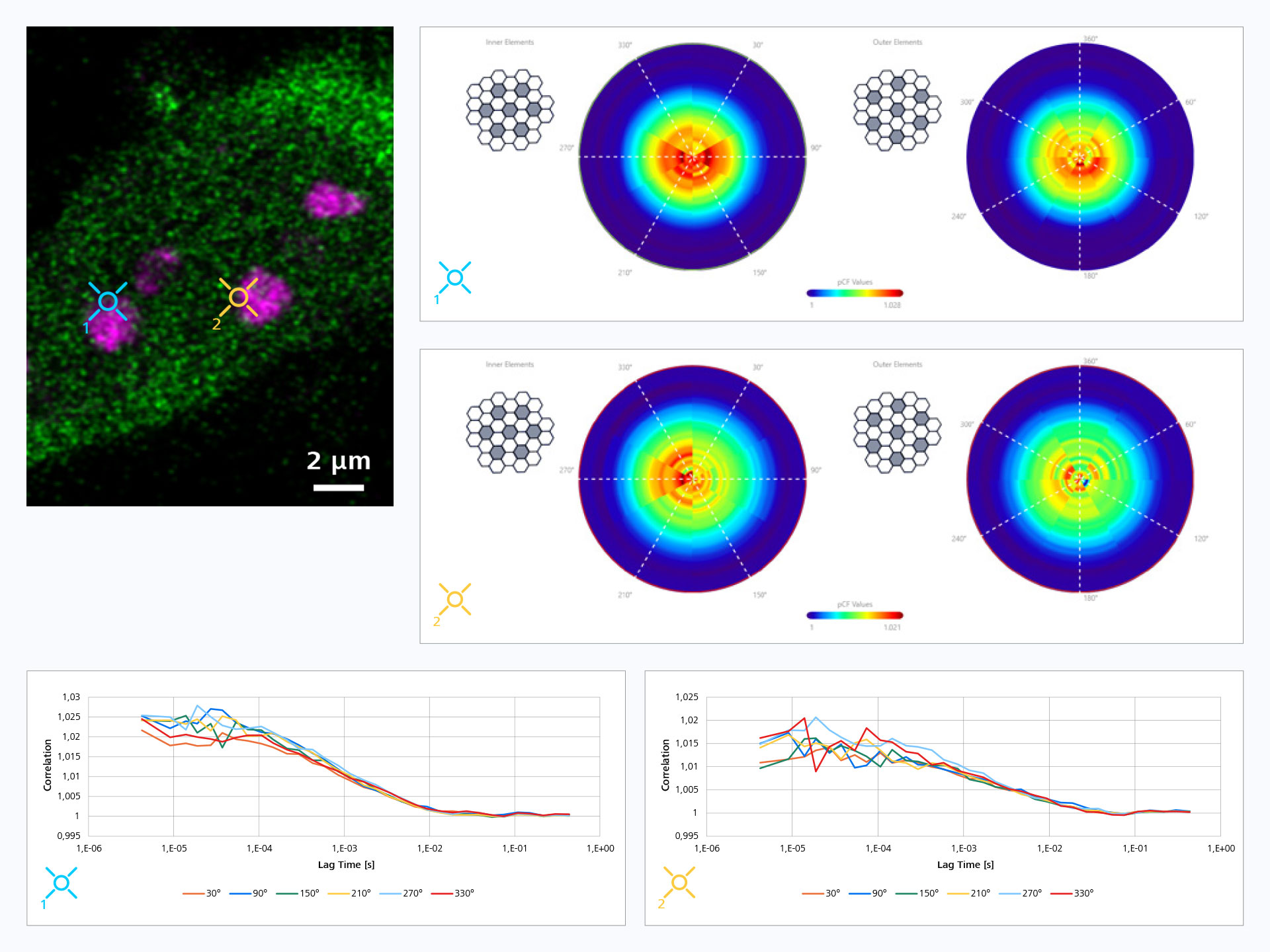 Medición de la difusión molecular en el borde nucleolar