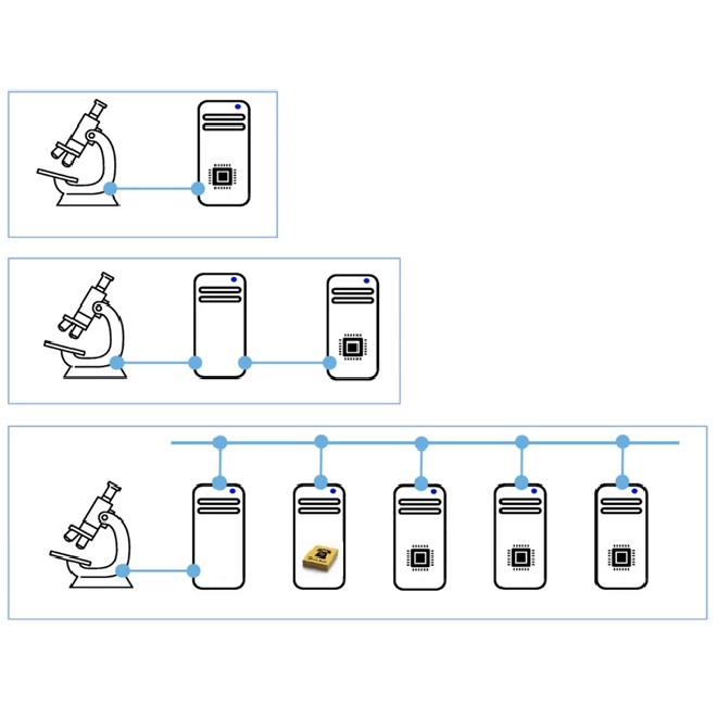 ZEN Direct Processing