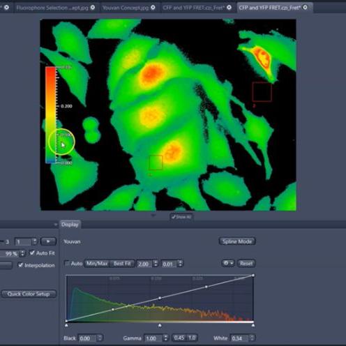 FRET mit Sensitized Emission