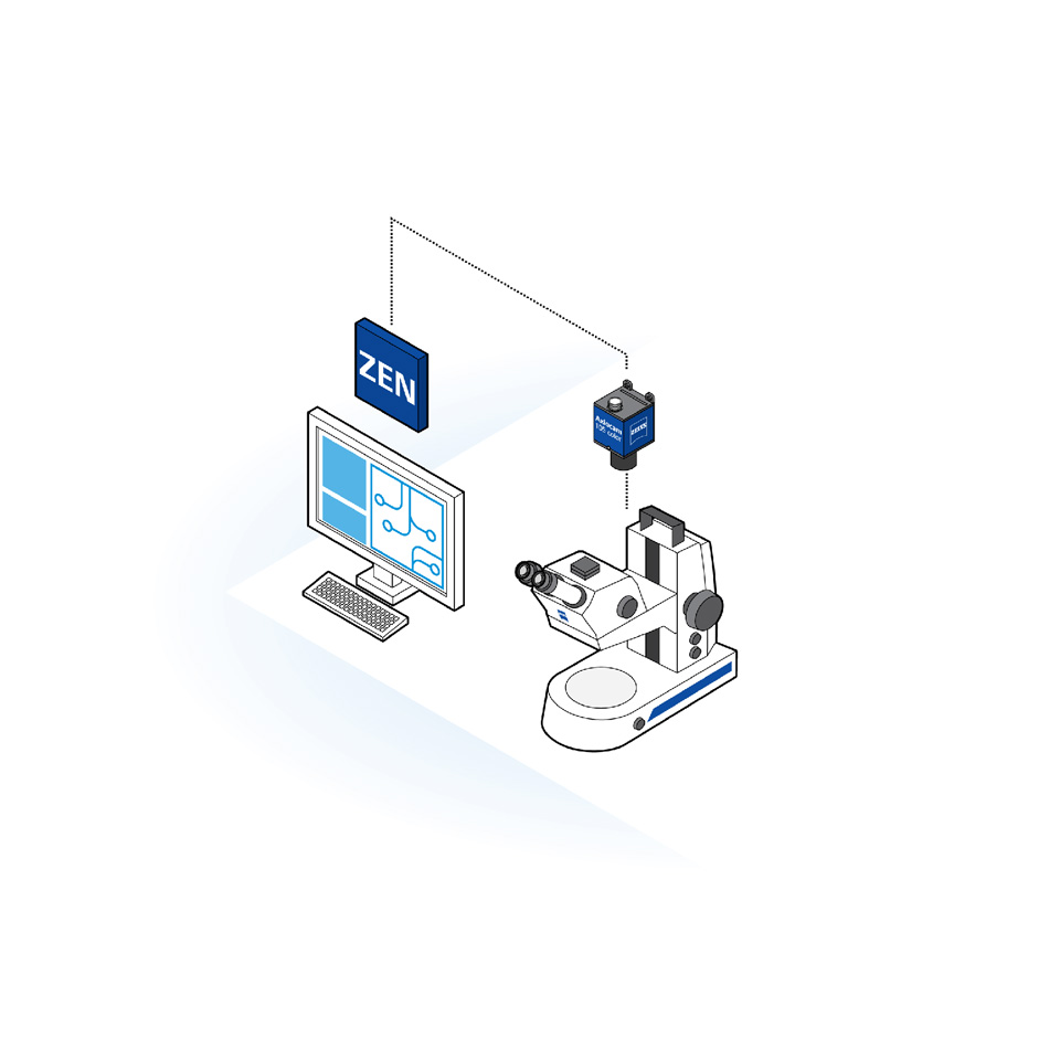 Ejecute ZEN core de forma gratuita: software de captura de imágenes para una microscopía eficiente