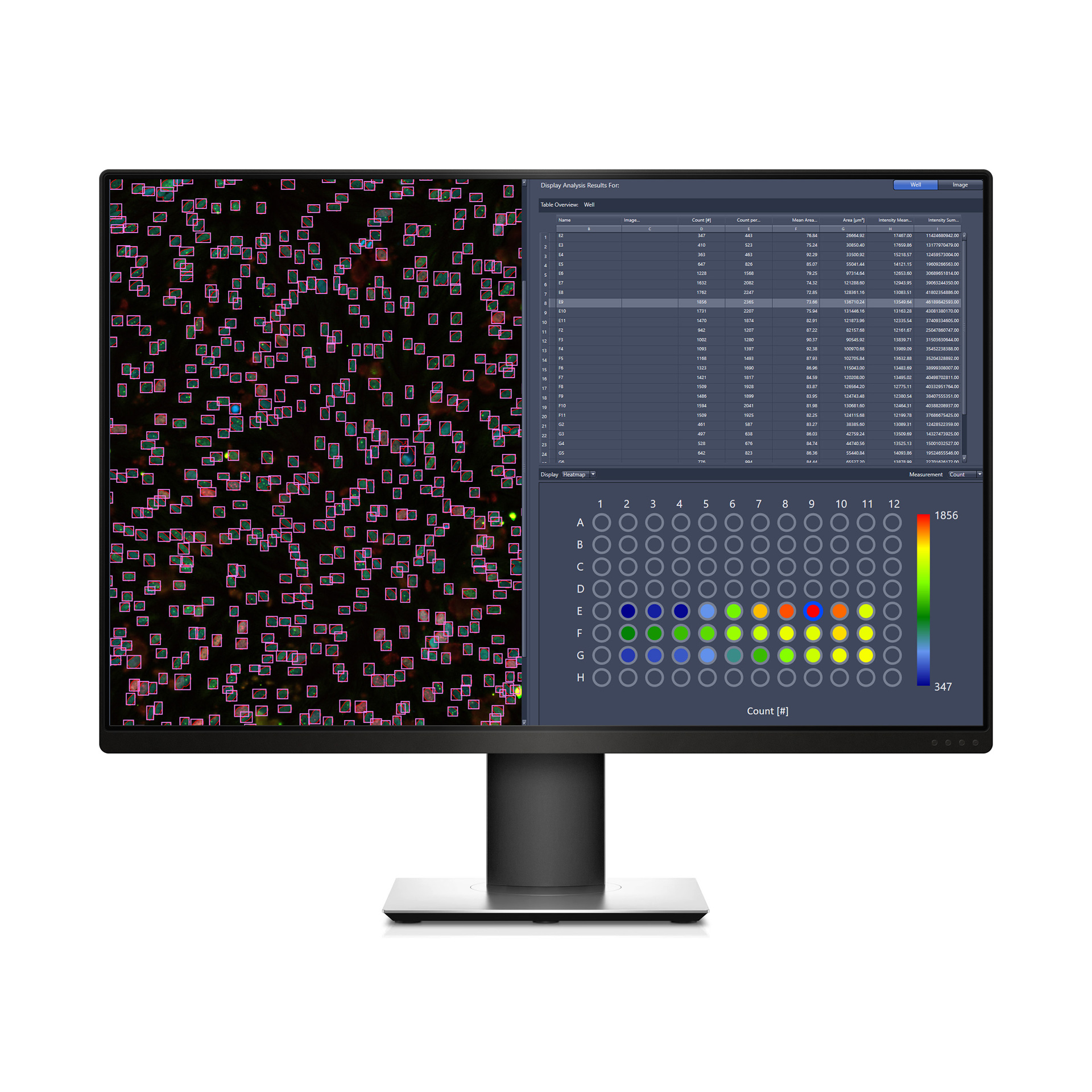 ZEN desk: procese y analice sus datos de microscopía en estaciones de trabajo específicas.