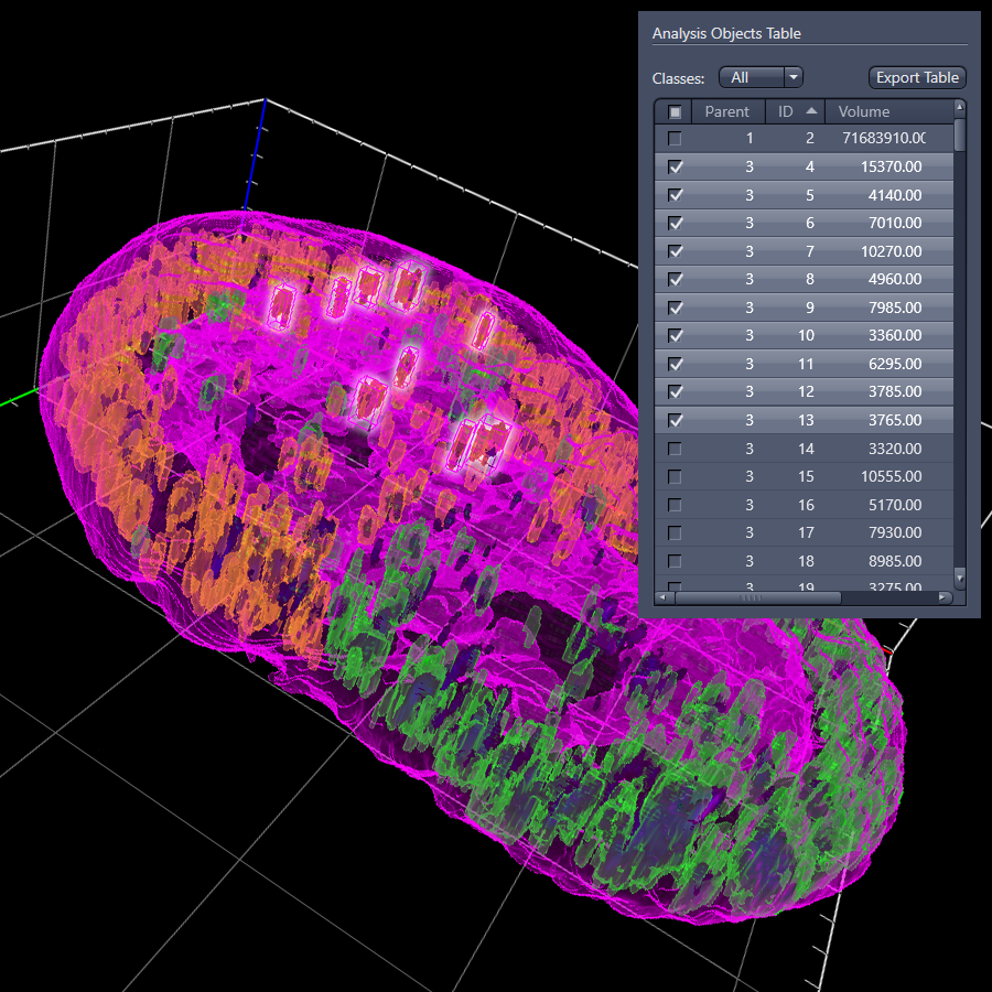 Integración sencilla de los análisis 3D con los flujos de trabajo típicos de ZEN