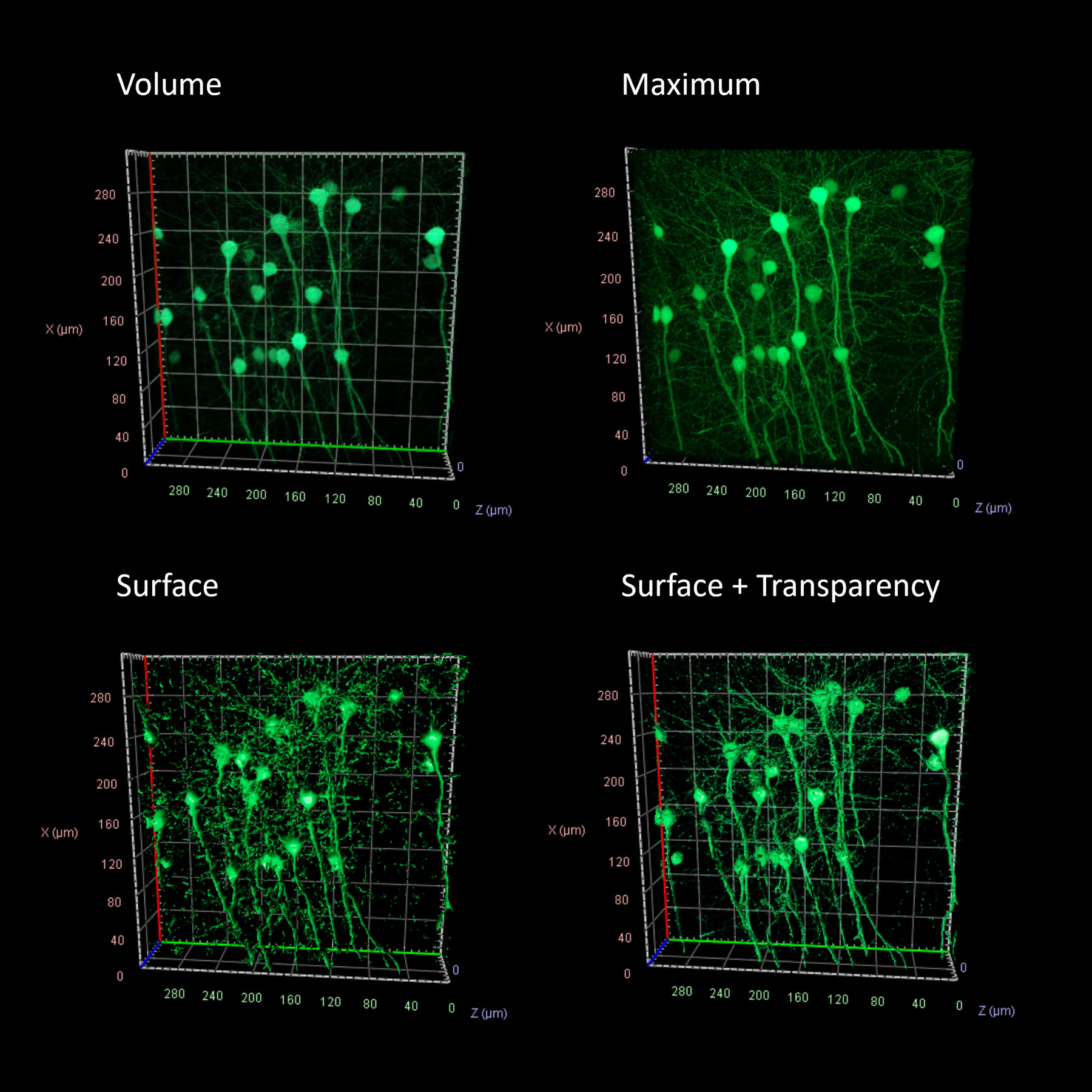 Advanced 3D Rendering Methods