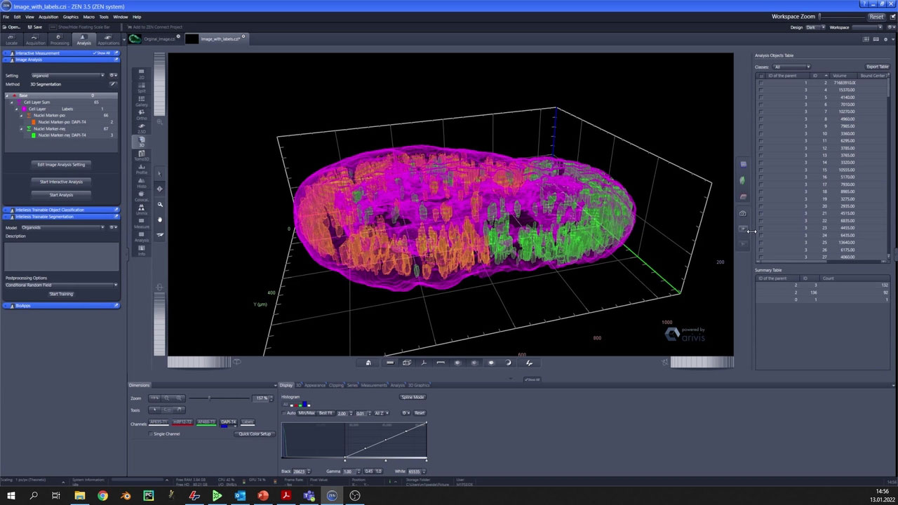 Cómo trabajar en 3D con ZEN (blue edition)