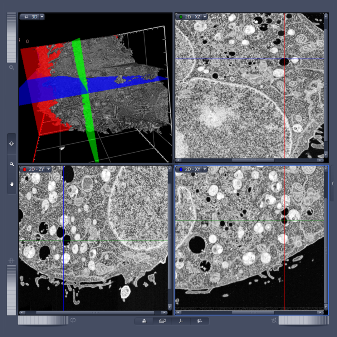 Superior Image Navigation with Tomo3D