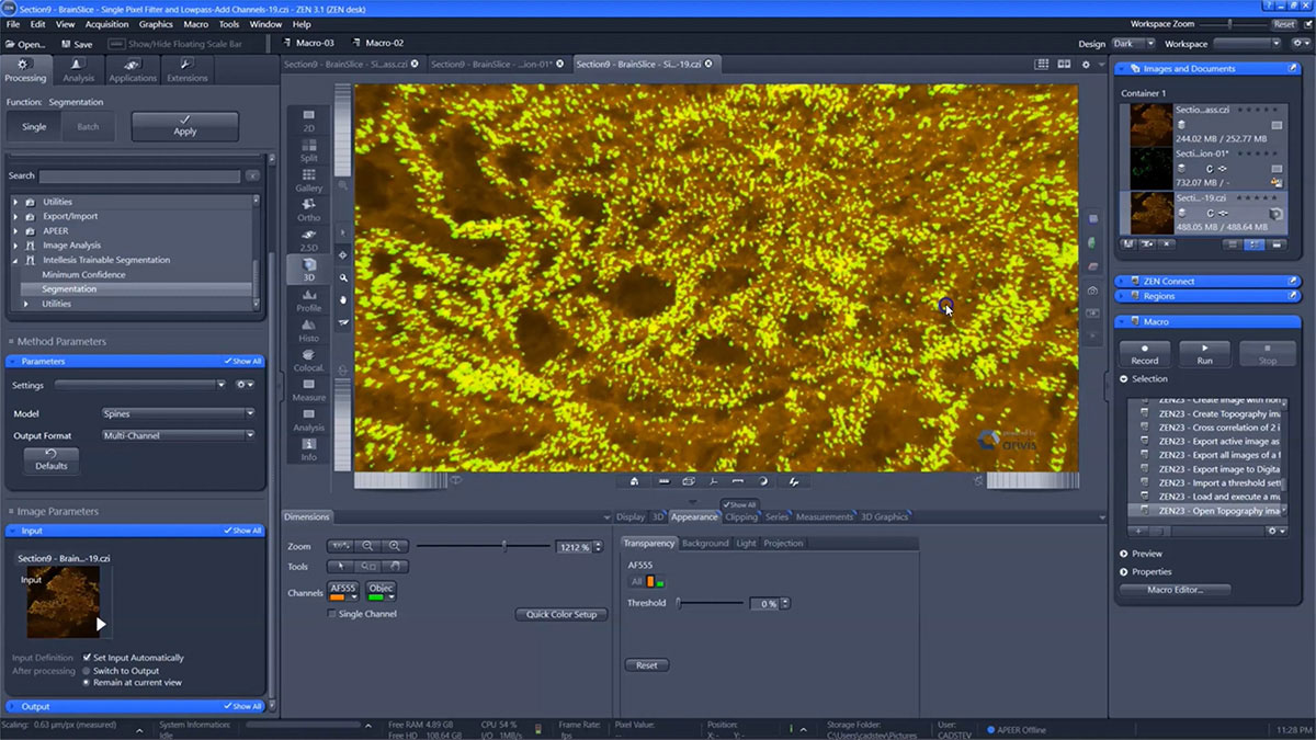 Introduction to AI Image Analysis