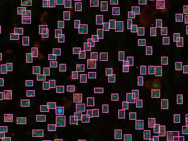 ZEISS Microscopy as a Service