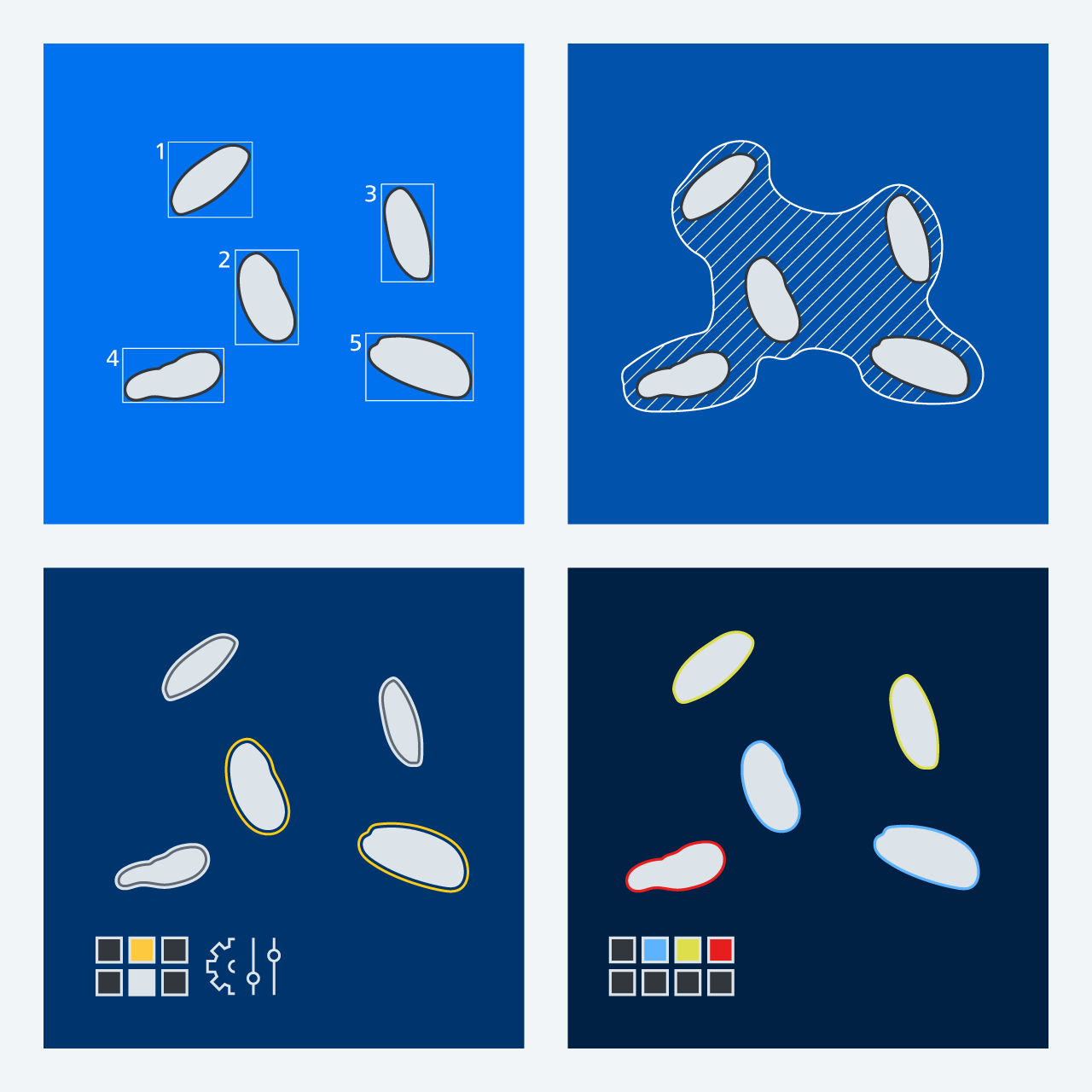 Bio Apps图示
