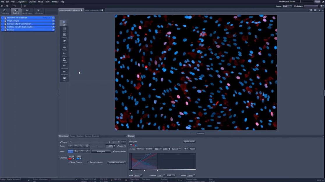 Gene and Protein Expression Measurement