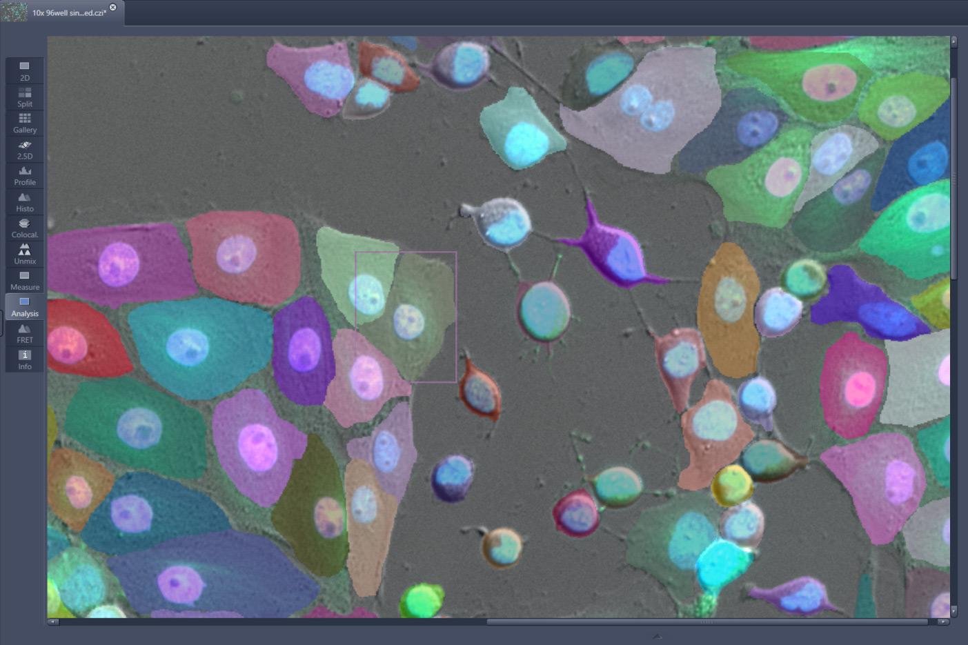 Segmentation d'instances