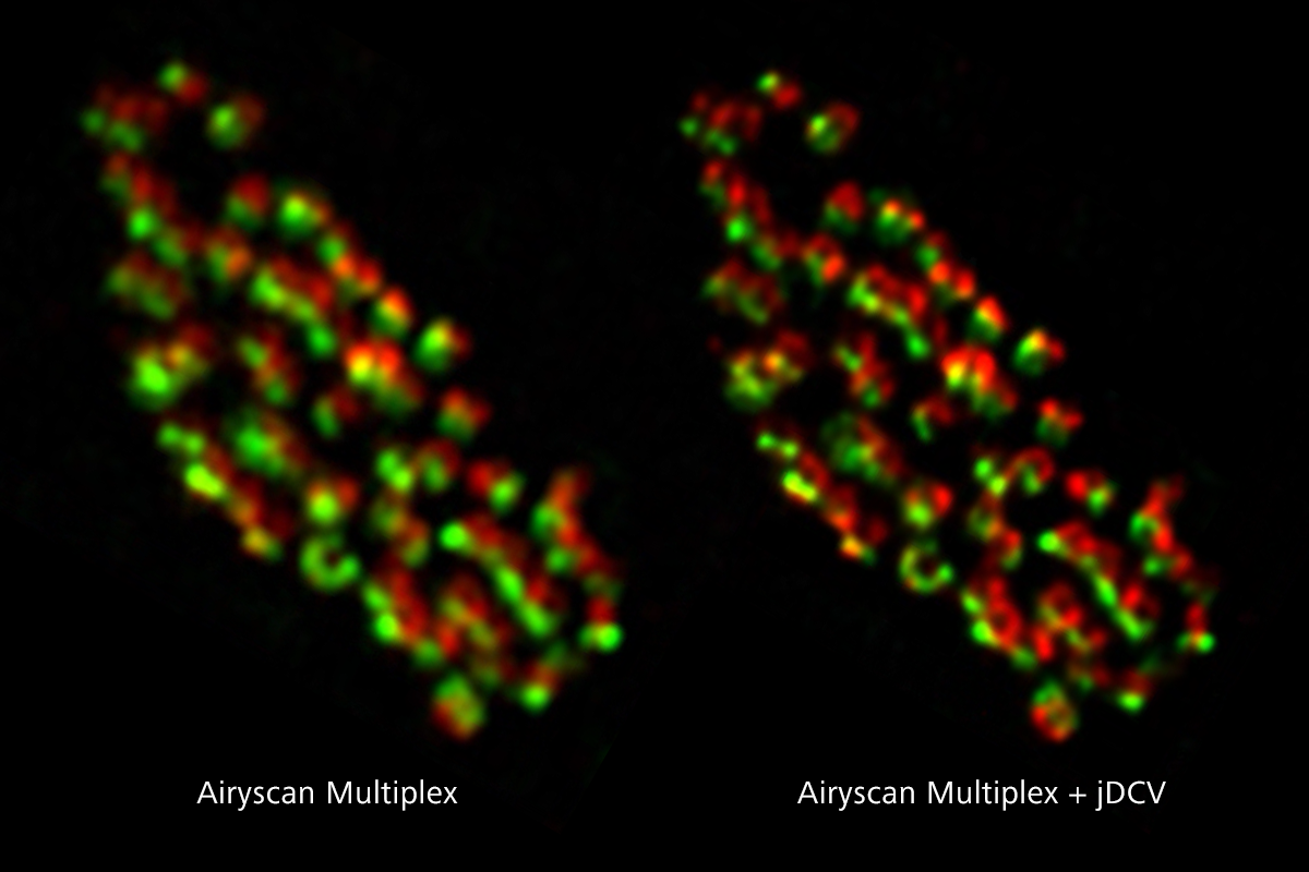 Screen capture of Joint Deconvolution (jDCV) in Airyscan Multiplex mode 