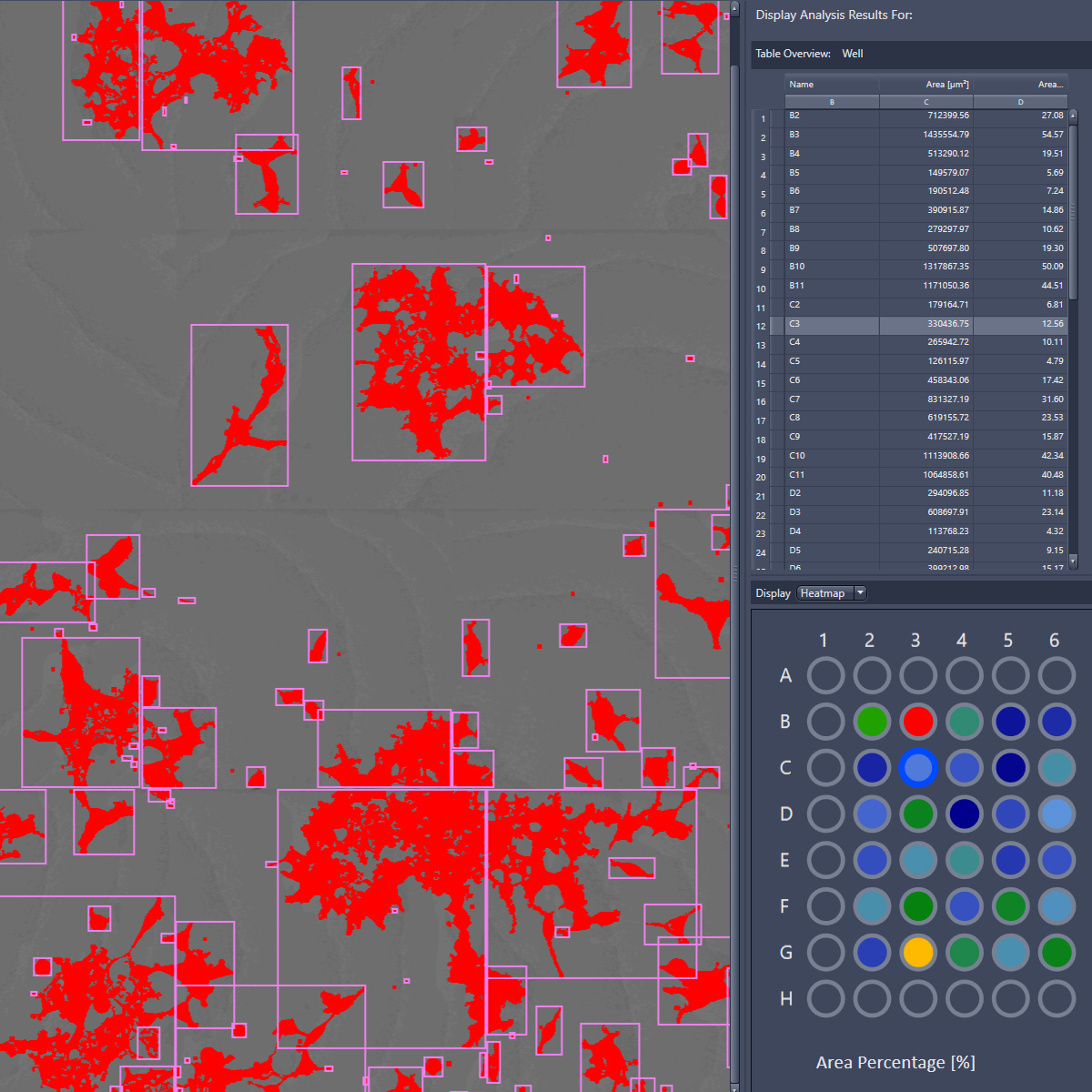 ZEISS ZEN - Effective Analysis