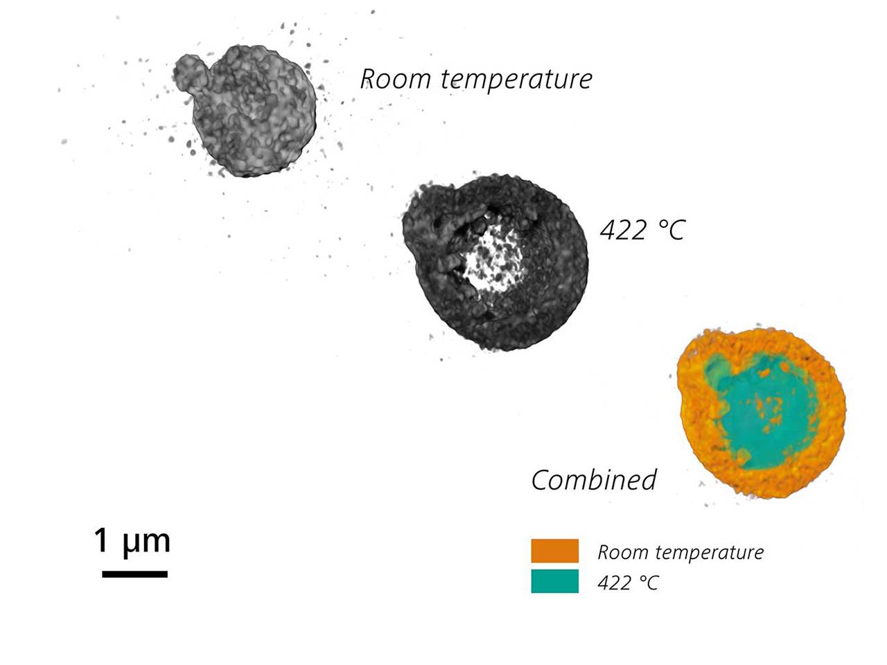 Norcada Heating Stageを用いたin situ条件下で高温酸化される亜鉛粒子。ZEISS Xradia 810 Ultraでイメージング。粒子径：3 µm。