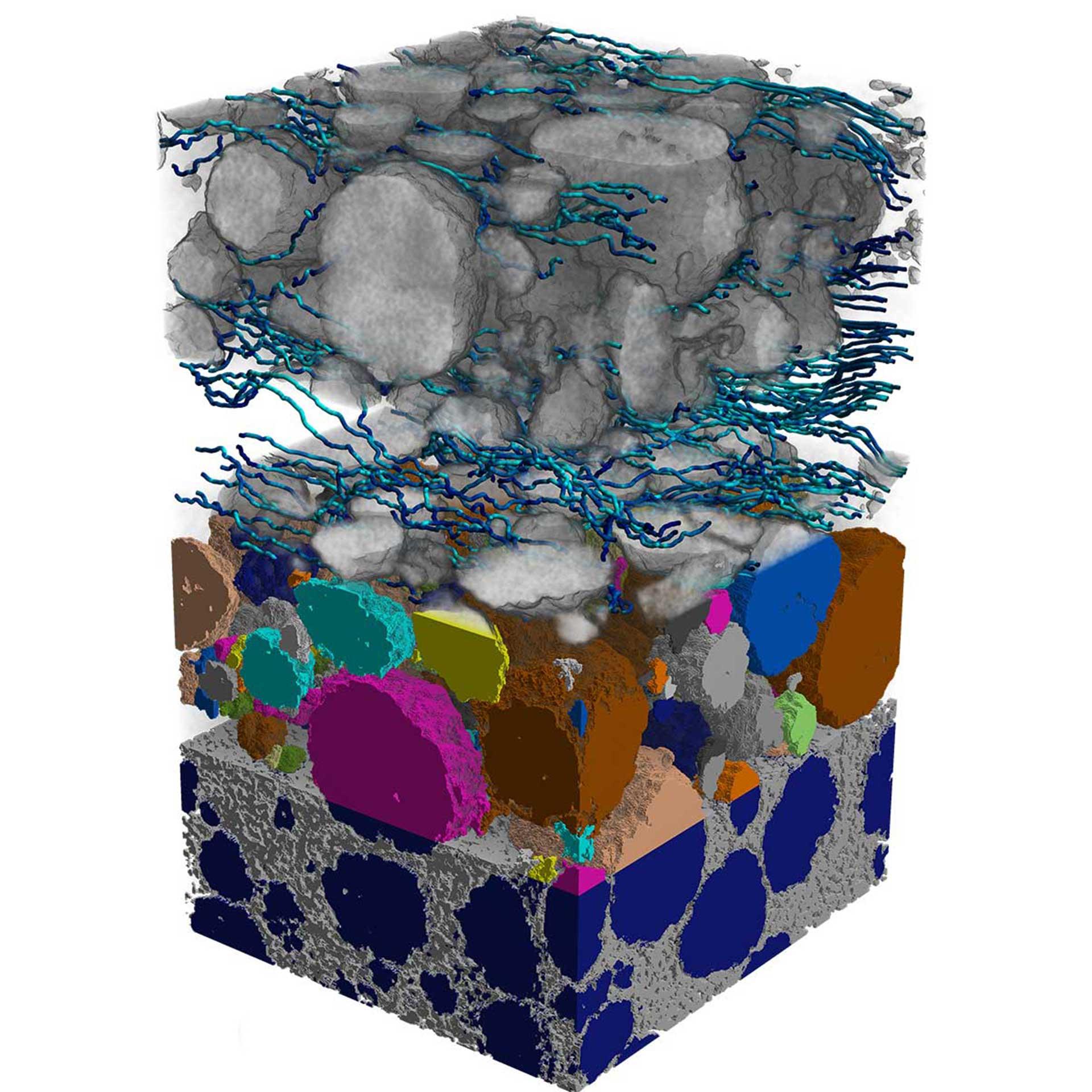 Porennetzwerk in einem Lithium-Ionen-Akku und simulierte Diffusion durch Kohlenstoff-Binder-Bereich. Abbildung mit Xradia 810 Ultra (Probenbreite 71 µm).