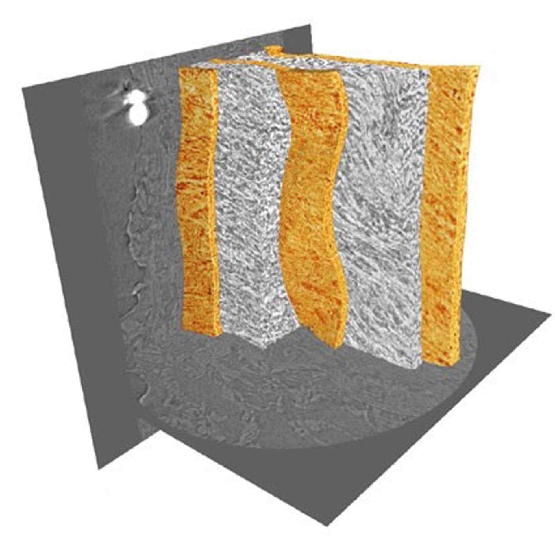 未染色的小鼠动脉壁组织中的弹性层（橙色）和层间区域。使用Xradia 800 Ultra成像。图像提供者：英国曼彻斯特大学（样品宽度90 µm）。